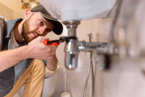 Best Green Plumbing Solutions and Water Conservation  in Cayuga, IN